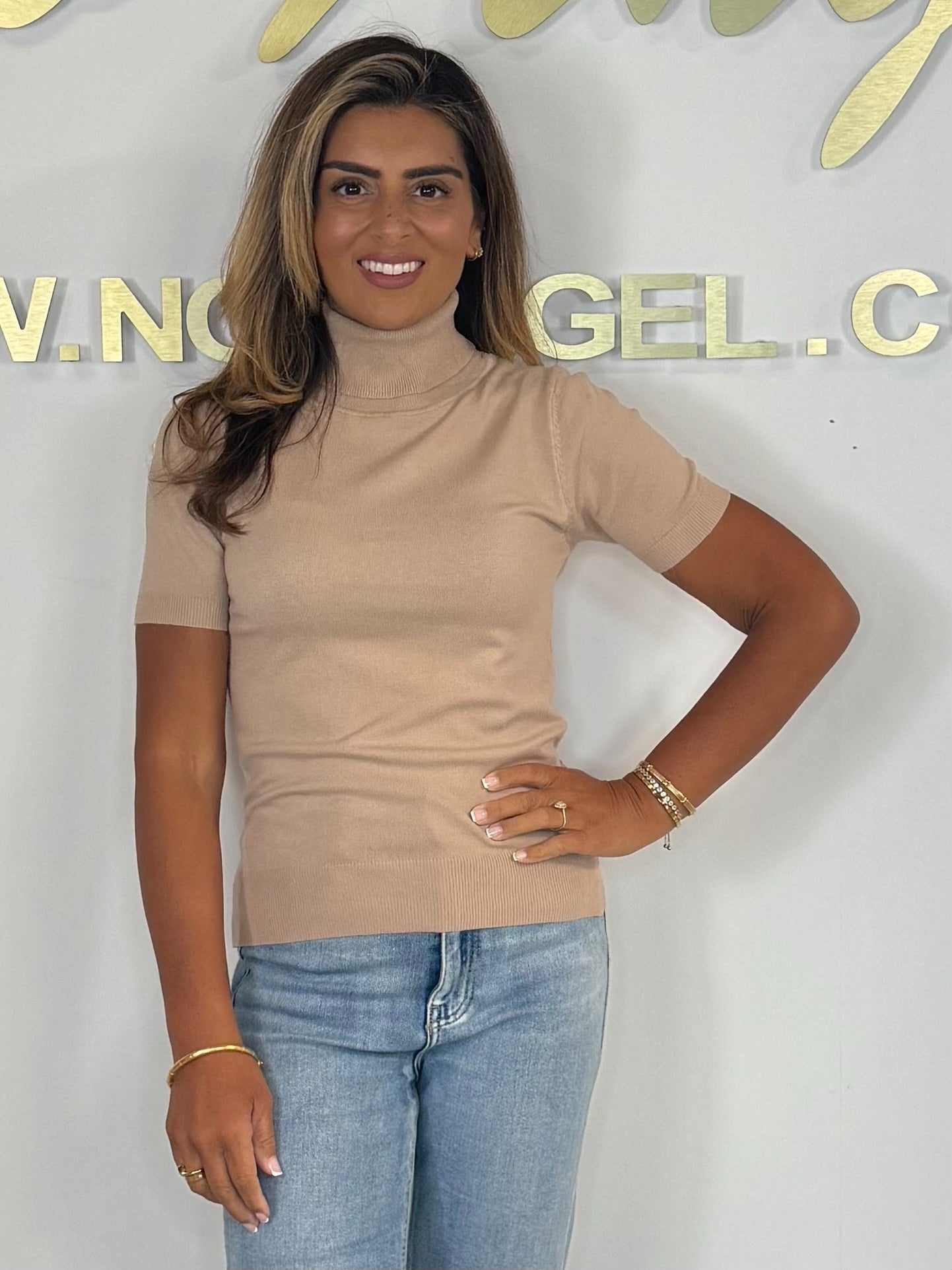 Soft Knit Short Sleeve Roll Neck Top (4 Colours)