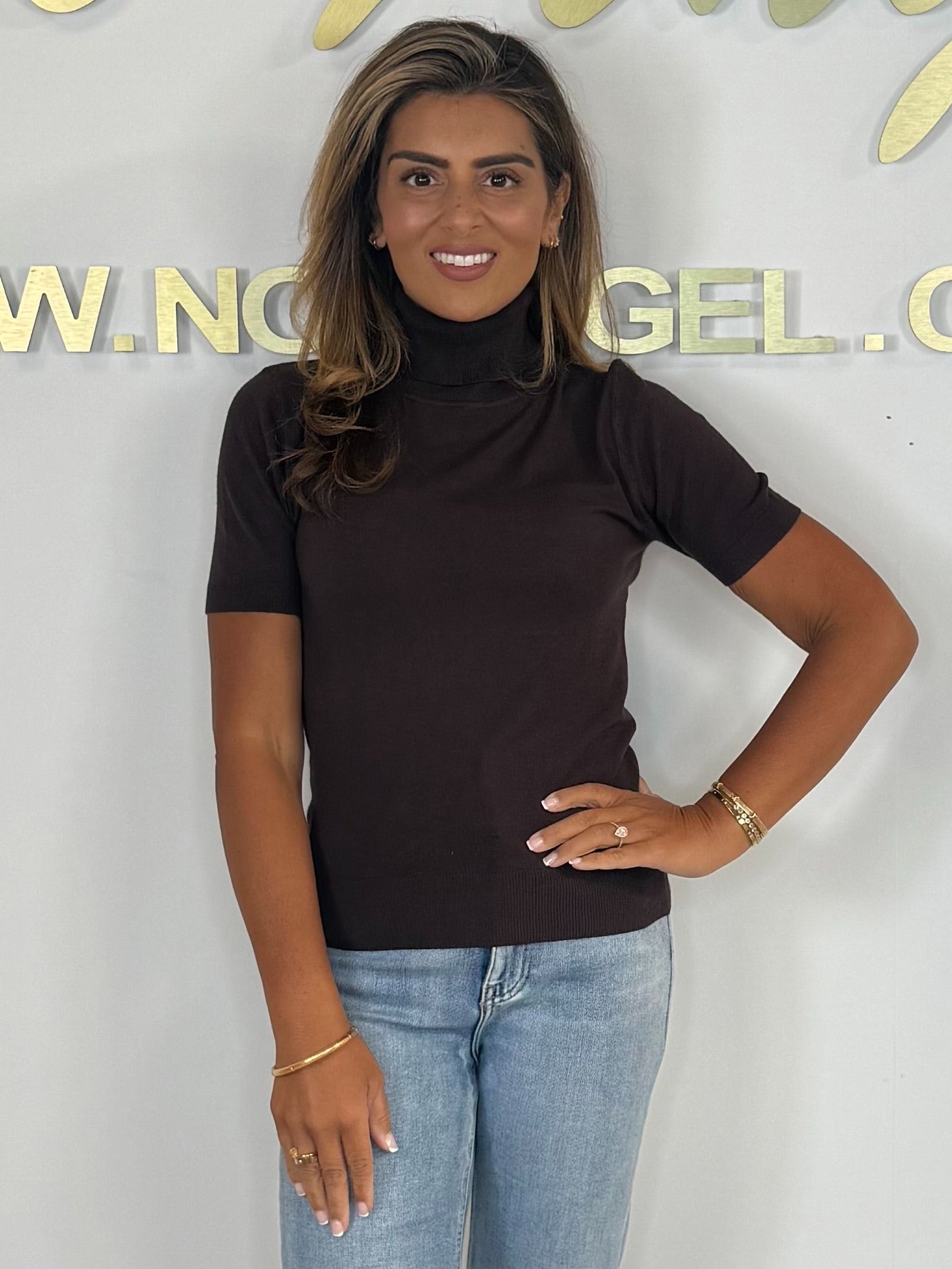 Soft Knit Short Sleeve Roll Neck Top (4 Colours)